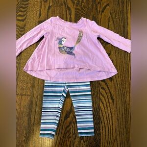 Splendid 3-6 months peacock outfit